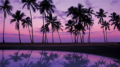 background laptop|300,000+ Free Laptop Wallpapers & Wallpaper Images .